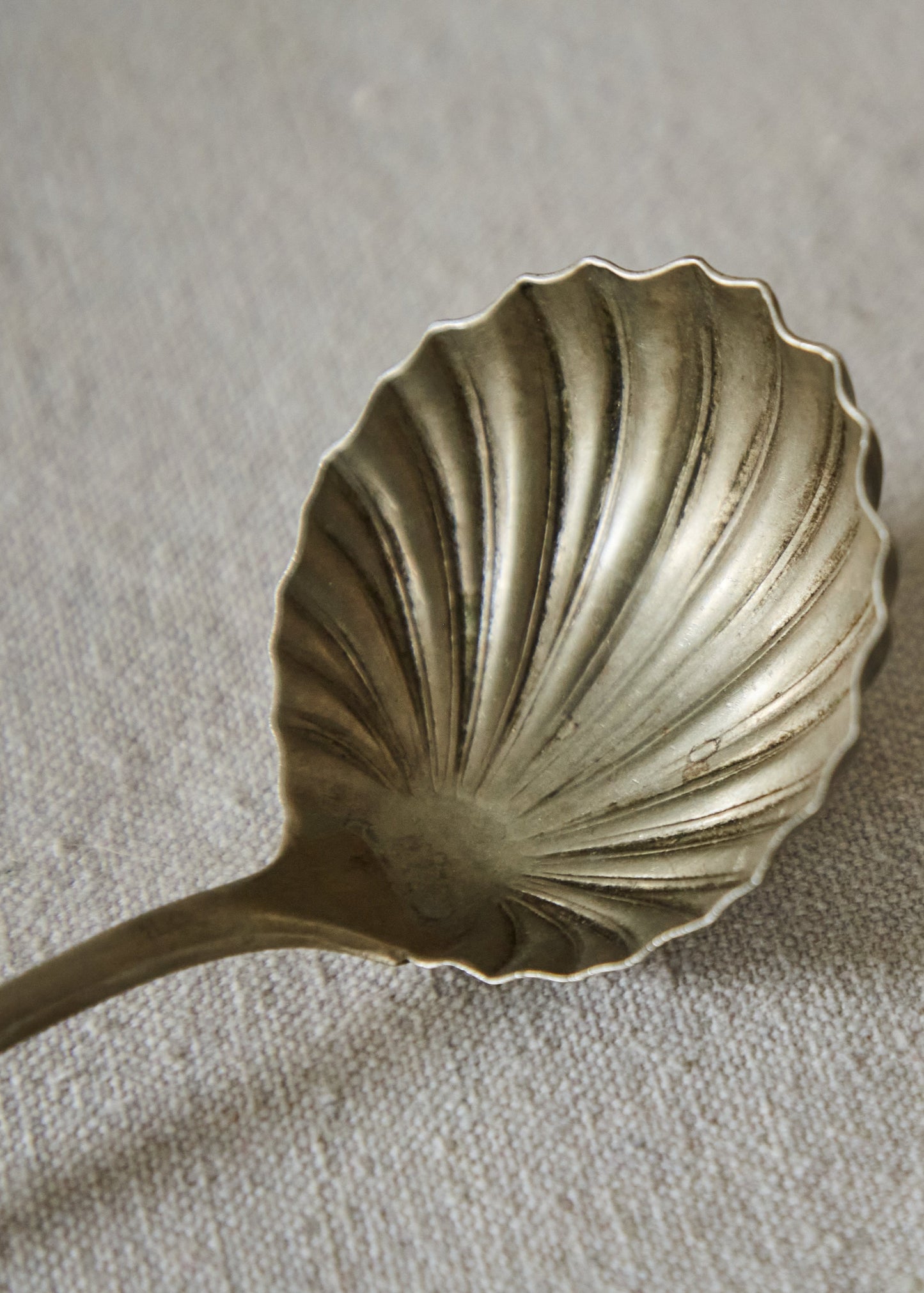 Berndorf Alpacca Shell-Shaped Serving Spoon