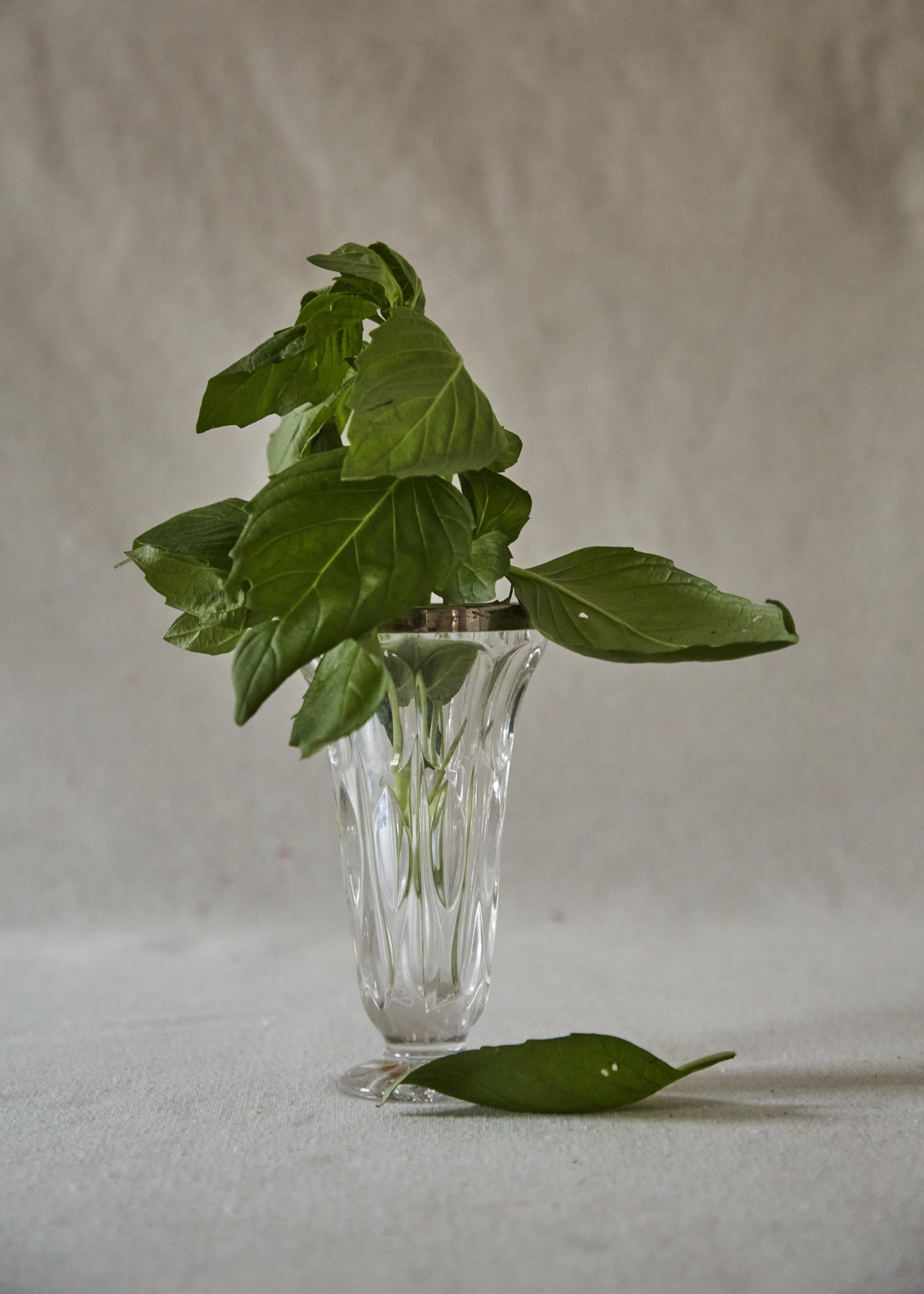 Vintage Crystal Glass Vase