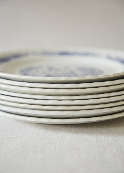 Wembley 'Don Quixote' desert plates